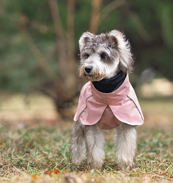 Koera vihmajope torusalliga, roosa (VPETBR-R53)