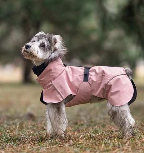 Koera vihmajope torusalliga, roosa (VPETBR-R53)