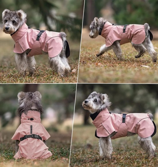 Koera vihmajope torusalliga, roosa (VPETBR-R53)