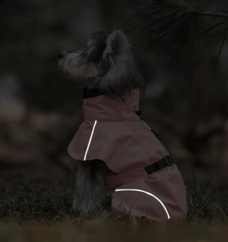 Koera vihmajope torusalliga, roosa (VPETBR-R53)