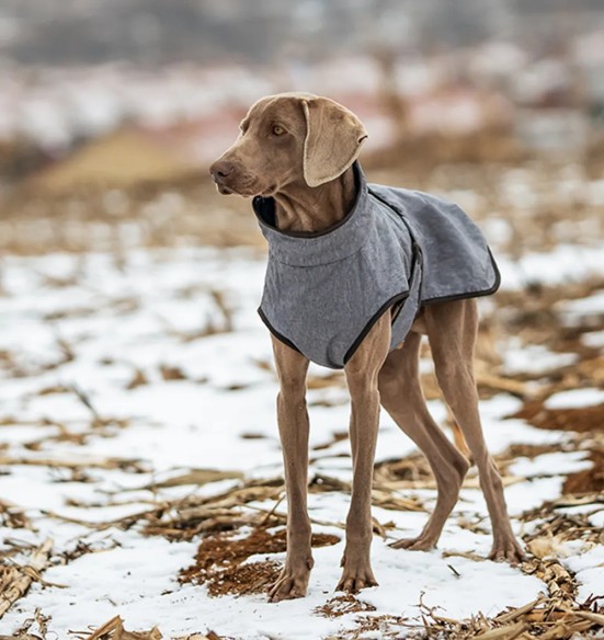 Koera jope kahekihiline, eemaldatava fliisist voodriga, hall (VPETBR-DJ56)