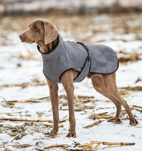 Koera jope kahekihiline, eemaldatava fliisist...