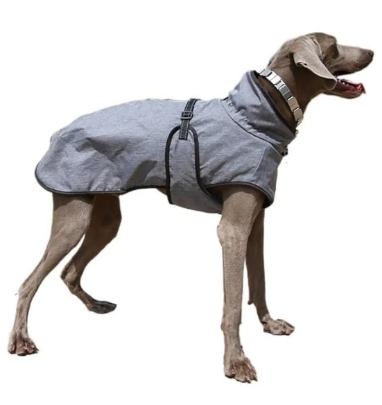 Куртка двухслойная для собак, со съемной флисовой подкладкой, серая (VPETBR-DJ56)