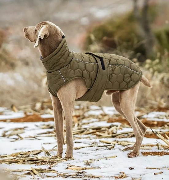 Куртка стеганая, зимняя для собак, зелёная (VPETBR-D58)