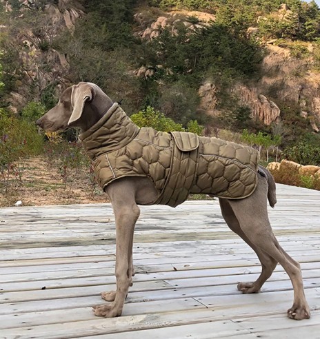 Koera talvejope tepitud, kaitseroheline...