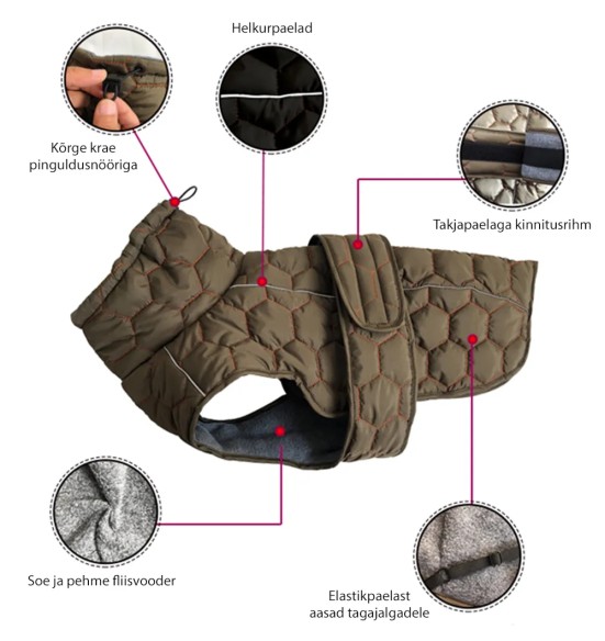 Куртка стеганая, зимняя для собак, зелёная (VPETBR-D58)