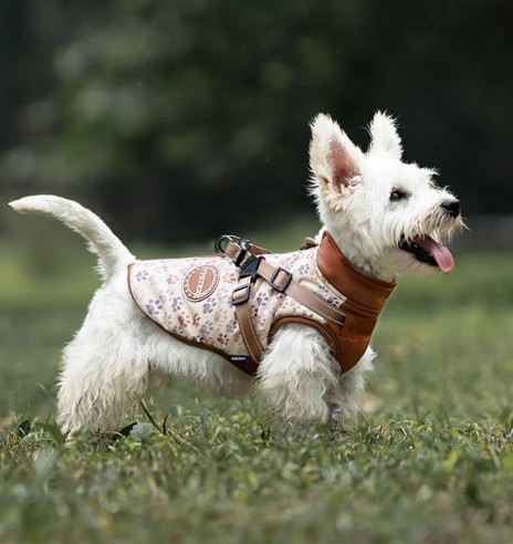 Koera talvejope traksidega, pruun käpajälgedega...