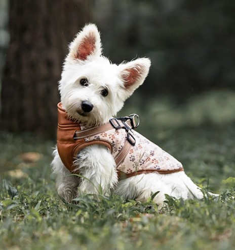 Koera talvejope traksidega, pruun käpajälgedega...