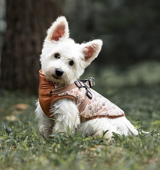 Koera talvejope traksidega, pruun käpajälgedega (VPETBR)