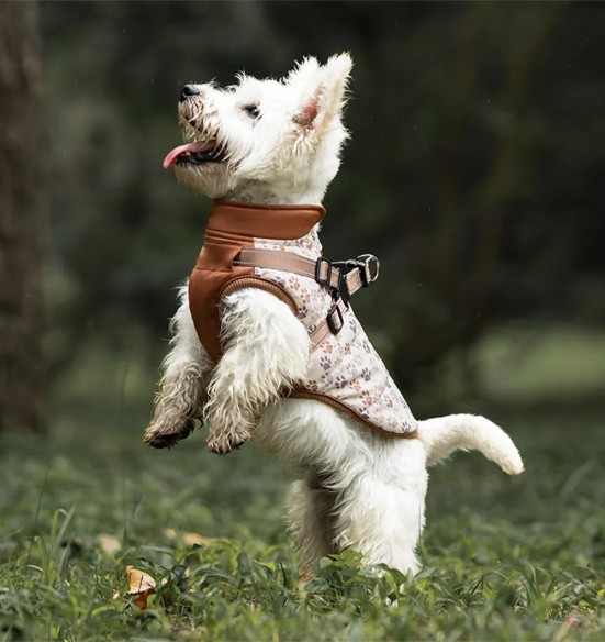 Koera talvejope traksidega, pruun käpajälgedega (VPETBR)