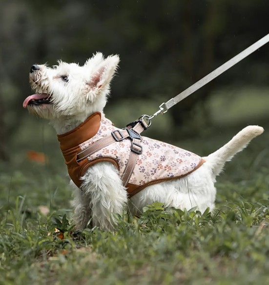 Koera talvejope traksidega, pruun käpajälgedega (VPETBR)
