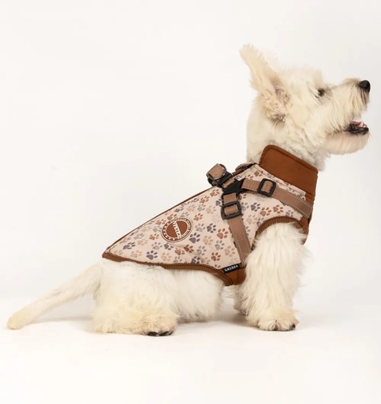 Koera talvejope traksidega, pruun käpajälgedega (VPETBR)