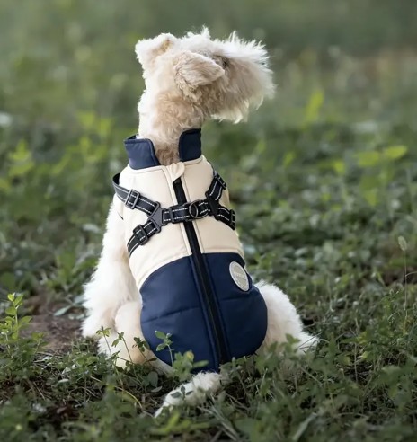 Koera talvejope traksidega, sinine-beež (VPETBR)