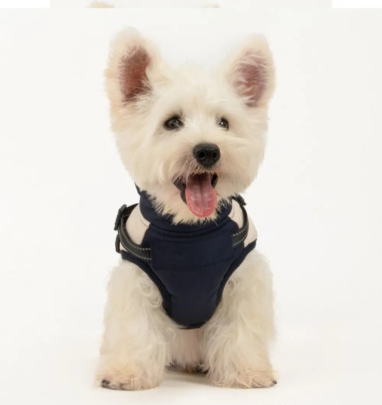 Koera talvejope traksidega, sinine-beež (VPETBR)