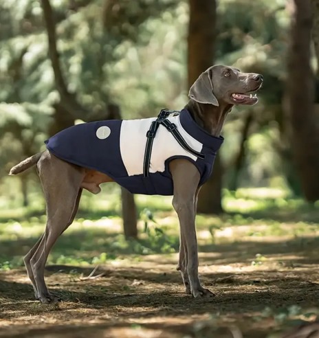 Koera talvejope traksidega, sinine-beež (VPETBR)