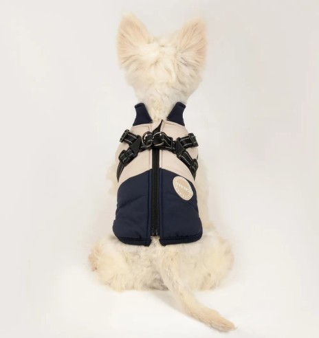 Koera talvejope traksidega, sinine-beež (VPETBR)