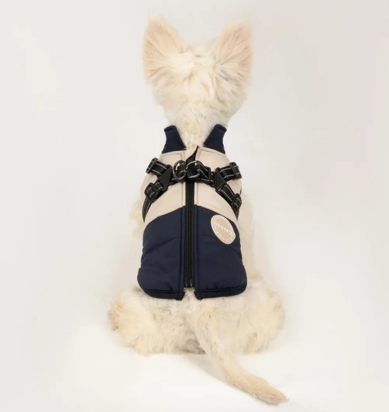 Koera talvejope traksidega, sinine-beež (VPETBR)