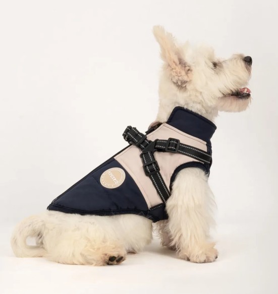 Koera talvejope traksidega, sinine-beež (VPETBR)