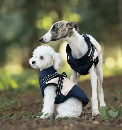 Koera talvejope traksidega, sinine-beež (VPETBR)