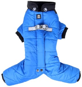 Koera talvejope lühikeste traksidega, pikad sääred,... 2