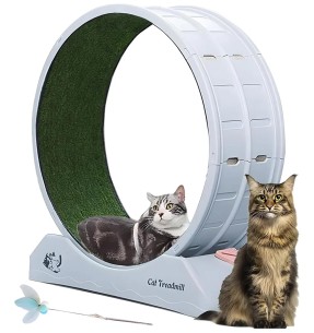 Интерактивная игрушка для кошек Motion Activated Butterfly (AFP - Interactives) – Интерактивные игрушки – AFP - All For Paws – Valgekihv