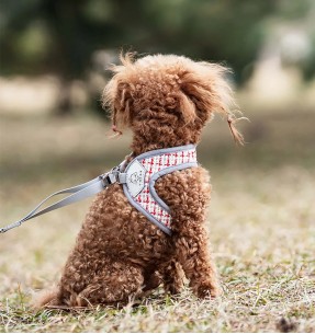 Шлейка для собак из натурального модала и хлопка, серая (Dogness Modal Cotton) – Текстильные шлейки – Dogness – Valgekihv 2