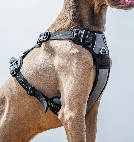 Tirimisvastased traksid koerale, pehmendusega, hall-must (VPETBR-H1)