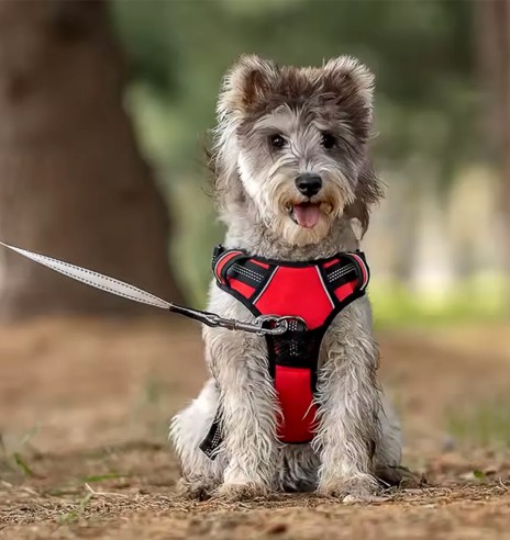 Tirimisvastased traksid koerale, pehmendusega,...