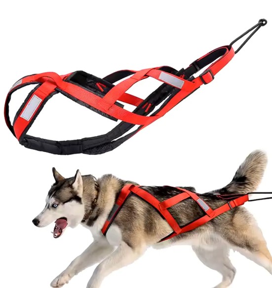 Шлейка ездовая спортивная, красно-черные (VPETBR-H1)