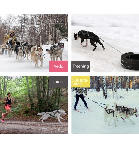 Шлейка ездовая спортивная, красно-черные...