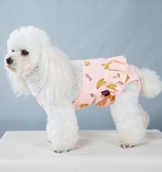 Jooksuaja püksid koertele traksidega, roosa (VPETBR)