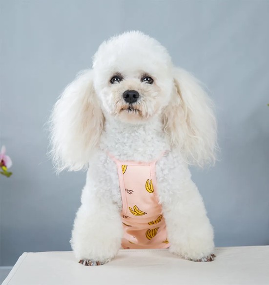 Jooksuaja püksid koertele traksidega, roosa (VPETBR)