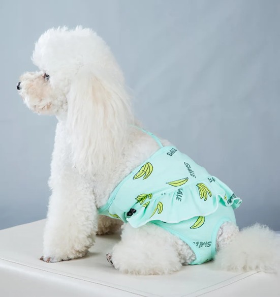 Jooksuaja püksid koertele traksidega, roheline (VPETBR)