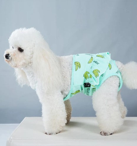 Jooksuaja püksid koertele traksidega, roheline...