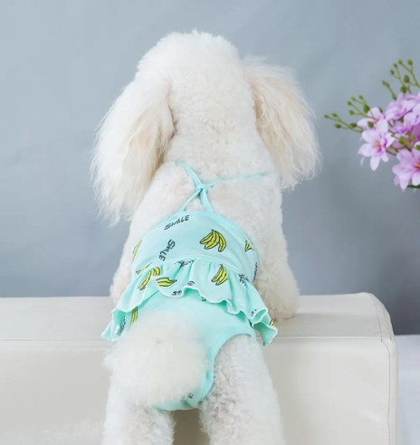 Jooksuaja püksid koertele traksidega, roheline...