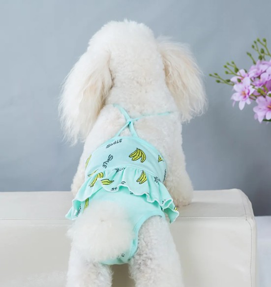 Jooksuaja püksid koertele traksidega, roheline (VPETBR)