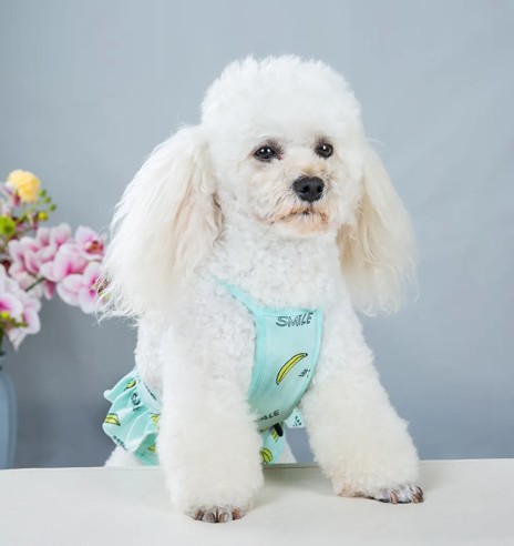 Jooksuaja püksid koertele traksidega, roheline...