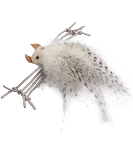 Kassi mänguasi Silly Spider (AFP - Classic...