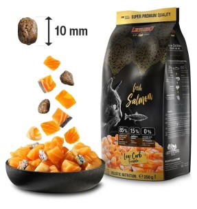 Kaelarihm kassile, disainmustriga Cosmos Red (Red Dingo)–Kaelarihmad–Red Dingo–Valgekihv 2