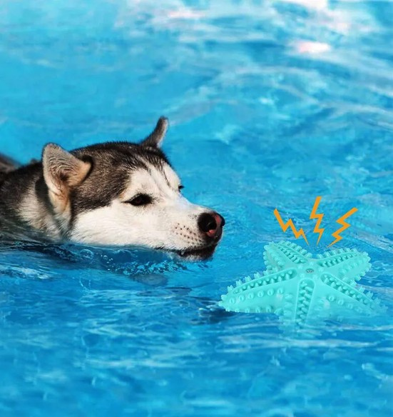 Koera närimismänguasi, hambaid puhastav, Chewy Star (Pawise)