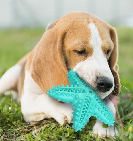 Игрушка жевательная, чистит зубы Chewy Star...