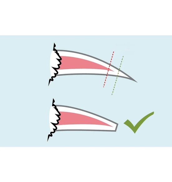 Koera küünetangid LED-valgustusega (Pawise)