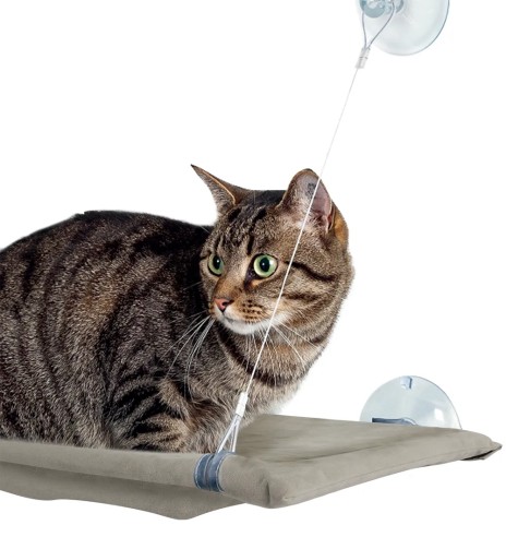 Pesa-ase kassile, aknaklaasi külge kinnitatav...