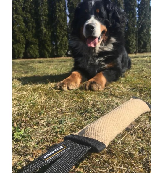 Patukas-nuts džuudist, ühe aasaga (Dingo Gear)