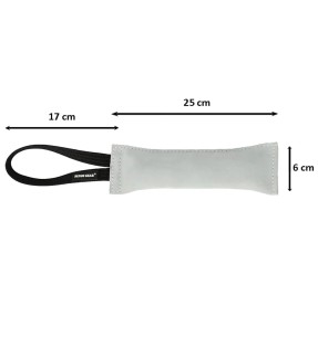 Koera jalutusrihm nailonrihm Classic, 1.1–1.8 m, roosa (Red Dingo)–Tekstiilist–Red Dingo–Valgekihv 2