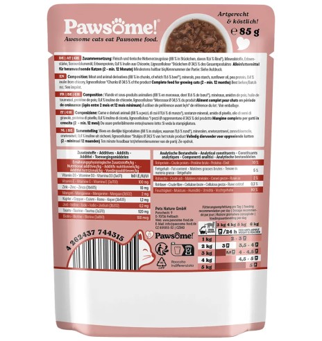 Pawsome! einekotike kassipojale, veiseliha...