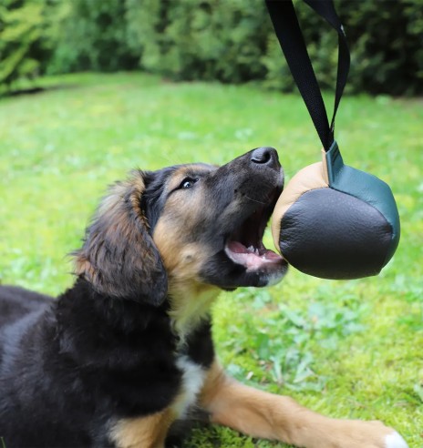 Pall-nuts naturaalsest nahast, ühe aasaga, Ø 11...