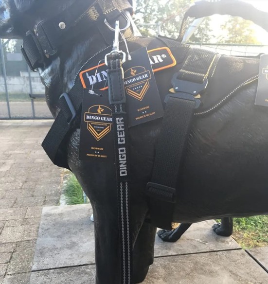 Koera jalutusrihm kummeeritud, aasaga, must (Dingo Gear)