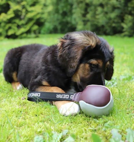 Pall-nuts naturaalsest nahast, ühe aasaga, Ø 8...