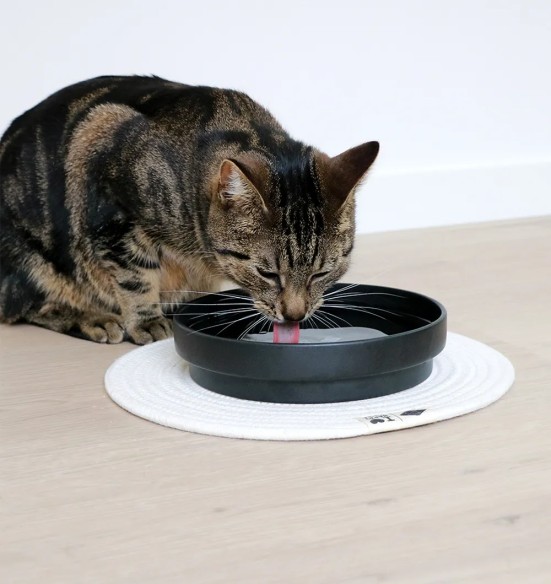 Миска для кошек керамическая I Love Happy Cats (D6D)